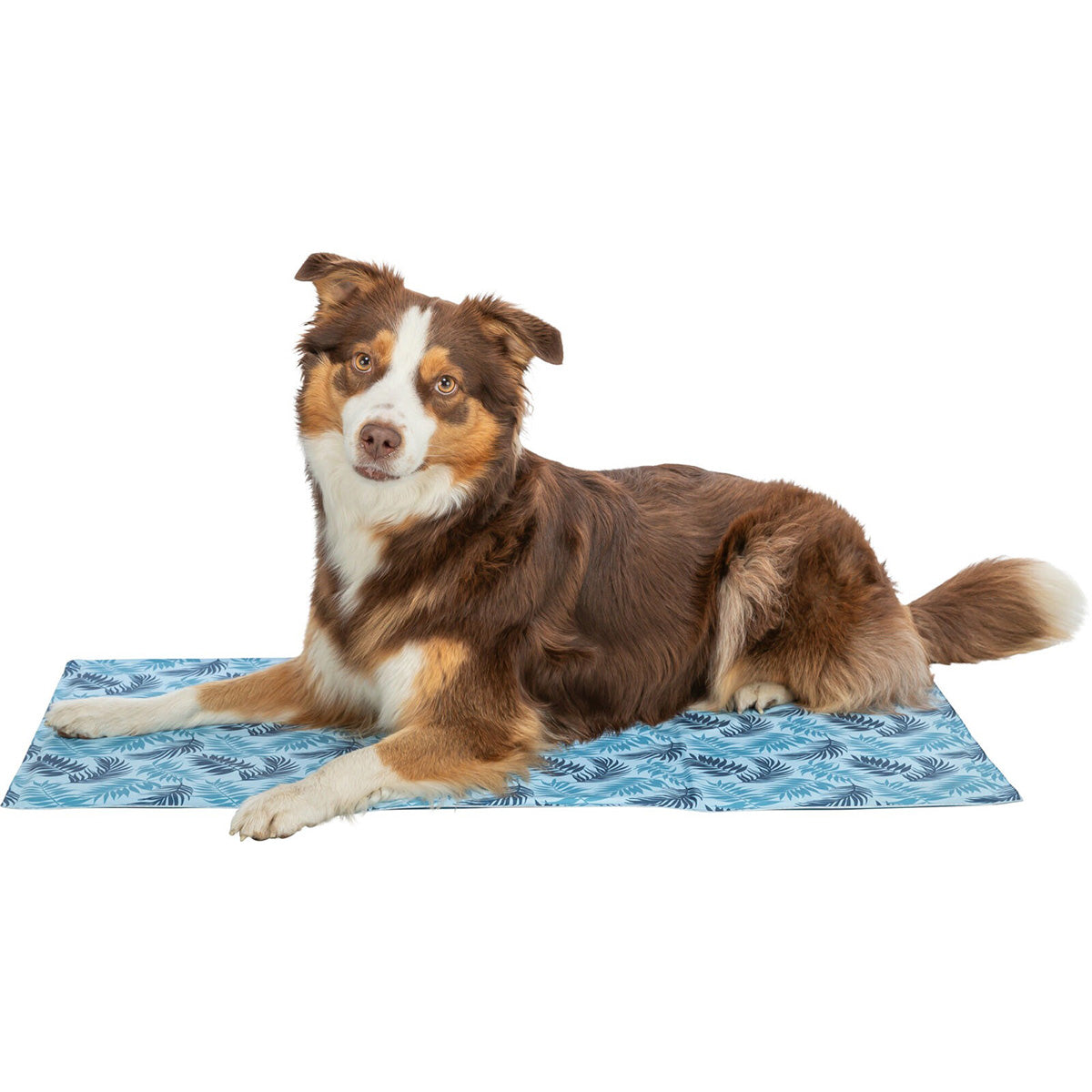 Alfombrilla refrigerante con estampado de hojas, 40 × 30 cm, azul claro.