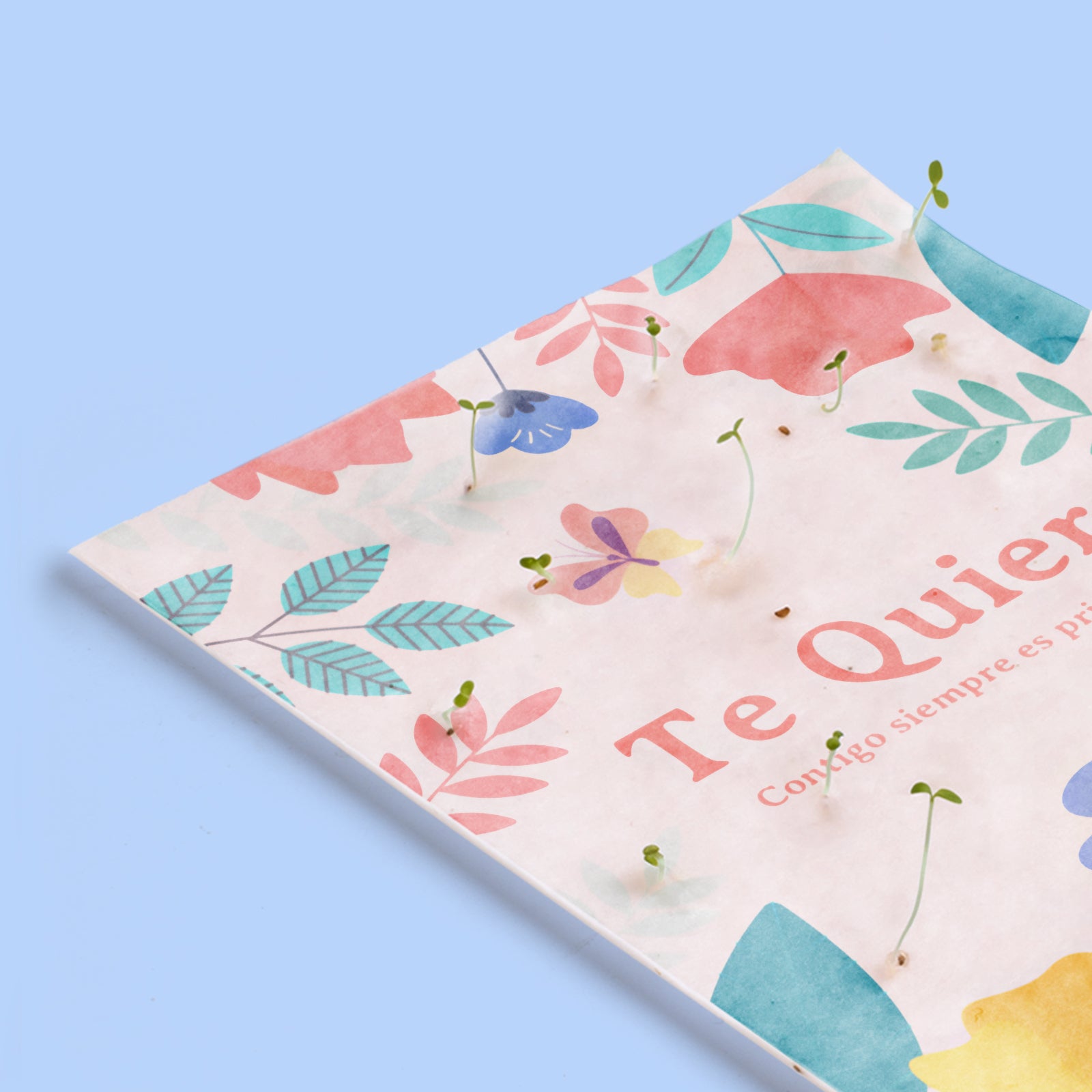 Postal Plantable Te Quiero – Regalo Romántico Original Que Florece, Emoción Y Naturaleza En Un Solo Gesto | Resetea_2