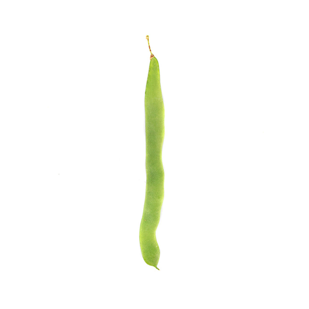 Judía Verde Helda 1.5kg Granada La Palma_2