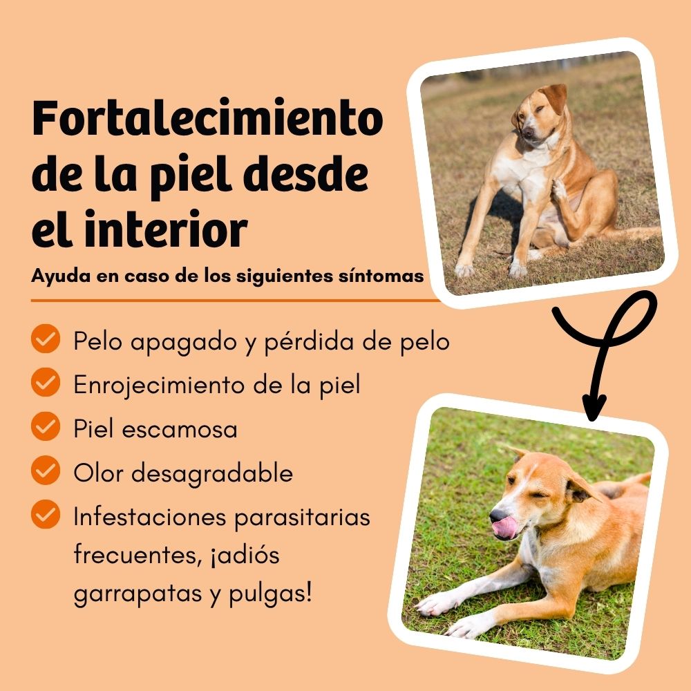 BugBell SkinHero Pienso – hipoalergénico, sin cereales, con proteína de insecto, comino negro, romero y cistus_3