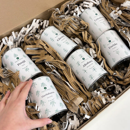 Pack Cofre Kits de cultivo aromáticas Planeta Huerto