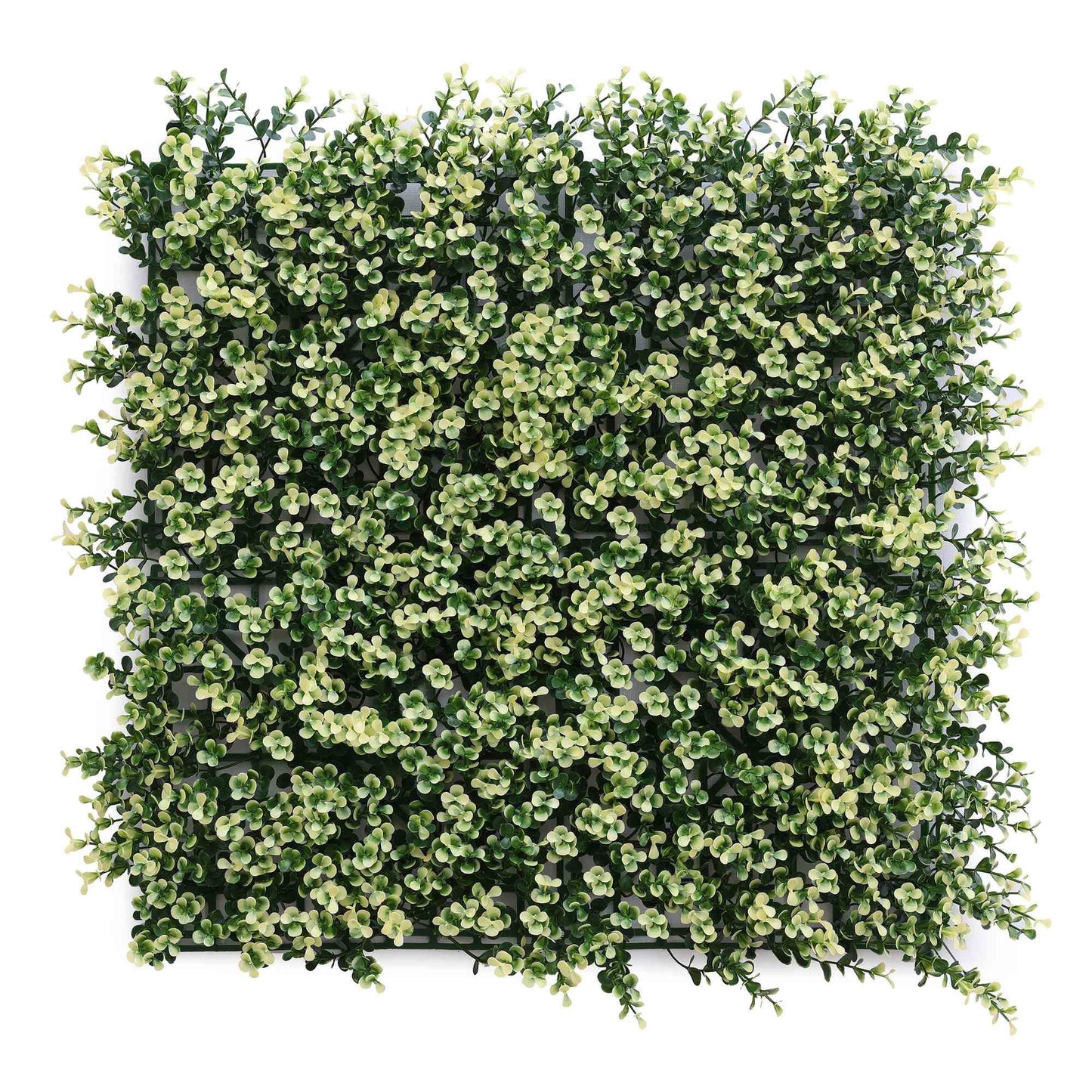 Jardín Vertical Artificial 100x100cm Well Home Hojas Verdes Y Blancas Naturales_0