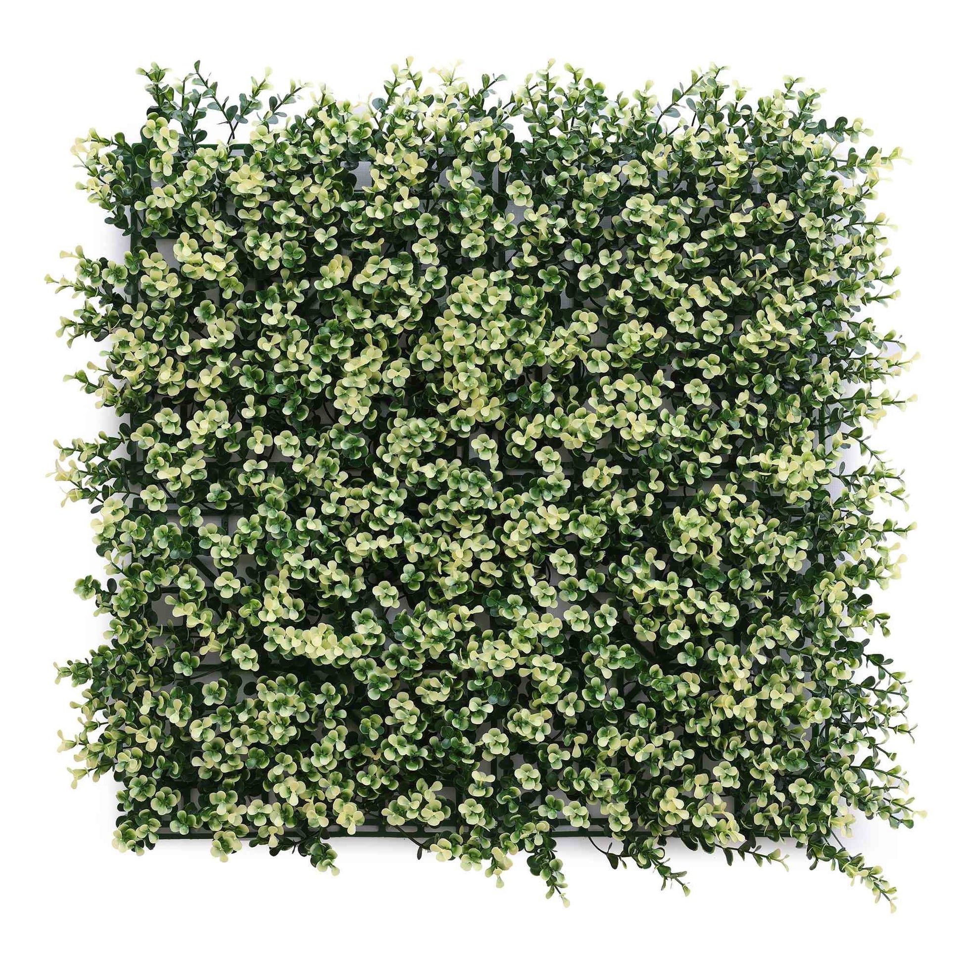 Jardín Vertical Artificial 100x100cm Well Home Hojas Verdes Y Blancas Naturales_0