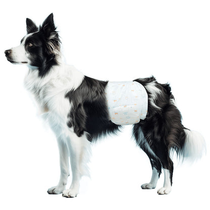 Pañales para perro Macho L Nobleza 10 ud