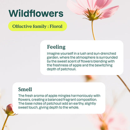 Eco-recambio de detergente para la ropa Flores silvestres Nature + technology 2 L 80 lavados