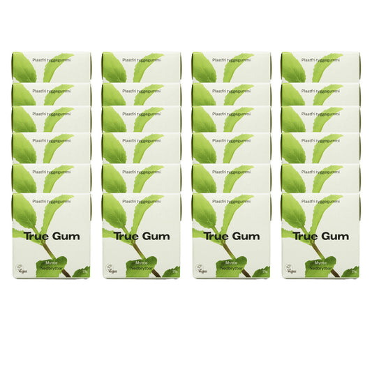 Pack 24x Chicle sin plástico de Menta fresca True Gum 21g