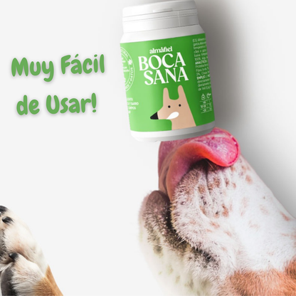 Boca Sana | Ascophyllum Nodosum | Reductor Mal Aliento Perros | Higiene Dental de Perros Y Gatos_5