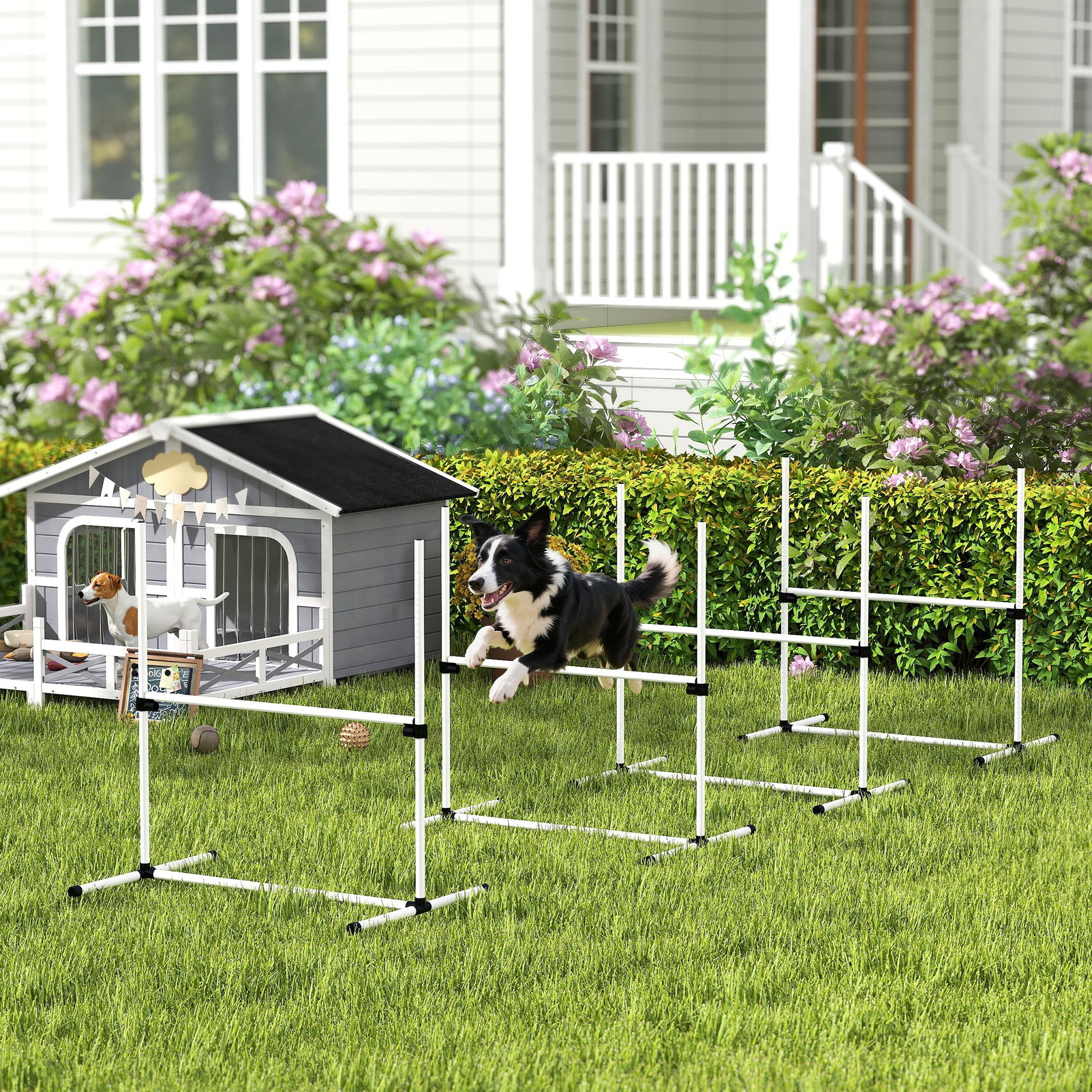 Pawhut Set Entrenamiento Agilidad Perros 4 Vallas De Salto Con Altura Ajustable_1