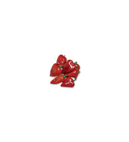 Plantón Pimiento Del Piquillo (10 Unidades)_1