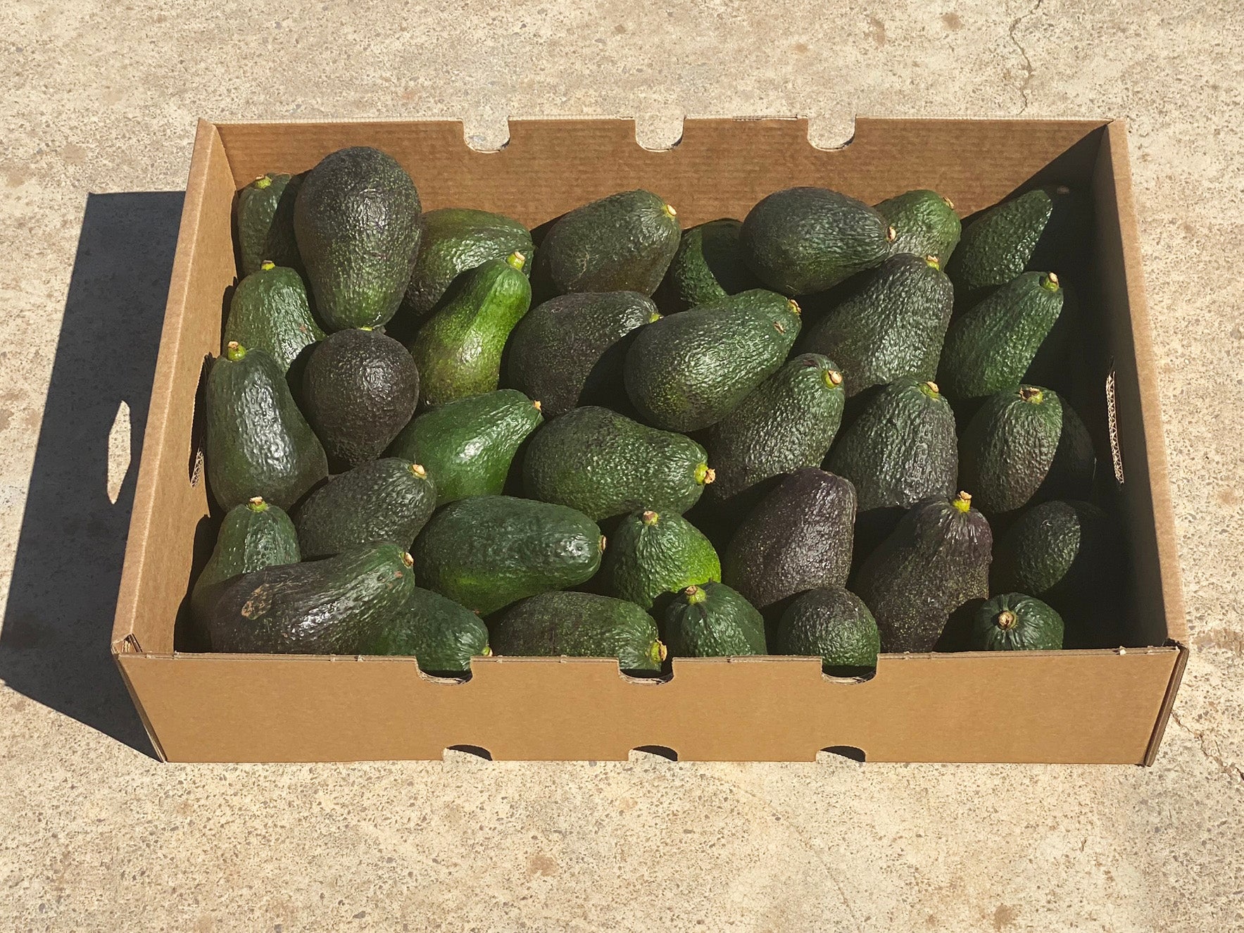 Aguacates Hass Fruta Española De Temporada Tropitop 10kg_0