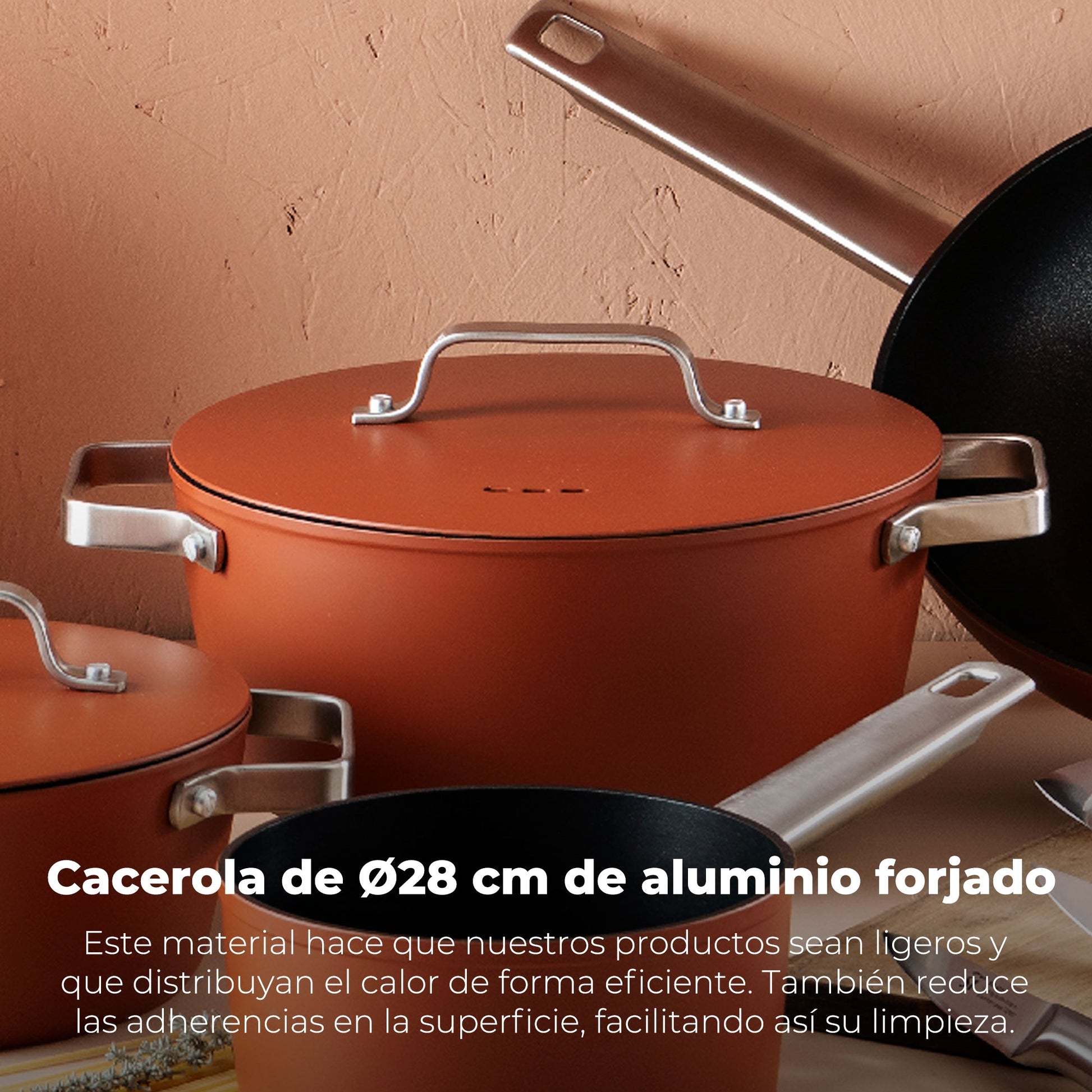 Cacerola  28x12.5cm Aluminio Forjado Ind C/tapa Agros_4