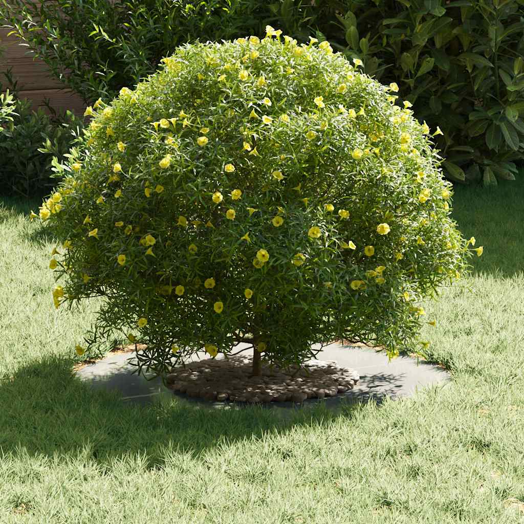 Adecuado Para Anillo De Árbol Plano Plateado Ø30 / 60 Cm_2