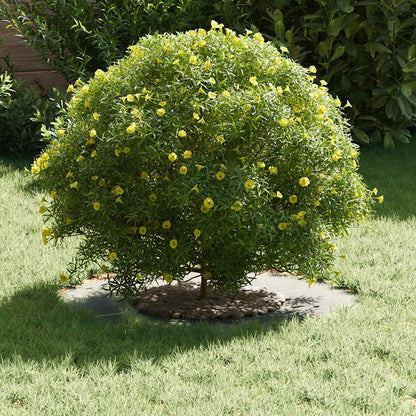 Adecuado Para Anillo De Árbol Plano Plateado Ø30 / 60 Cm_2