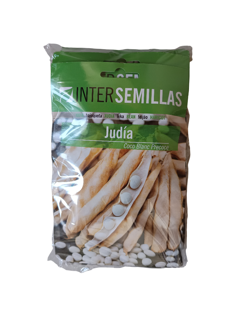 Semillas De Judia Coco Blanc Precoce_0