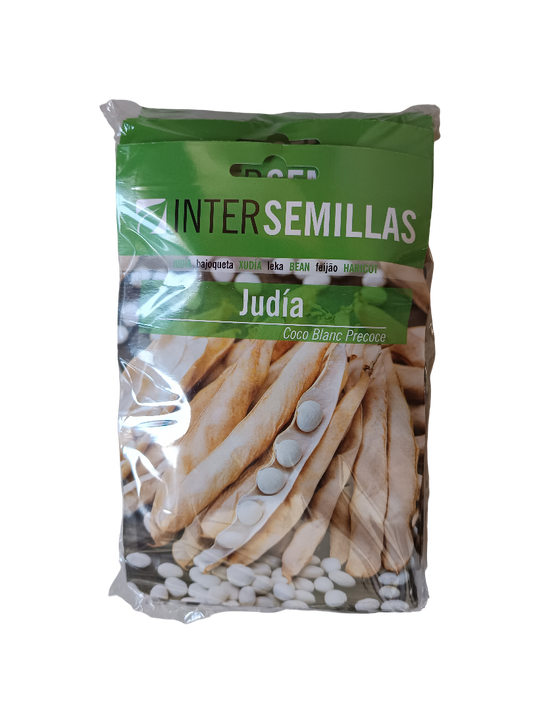 Semillas De Judia Coco Blanc Precoce