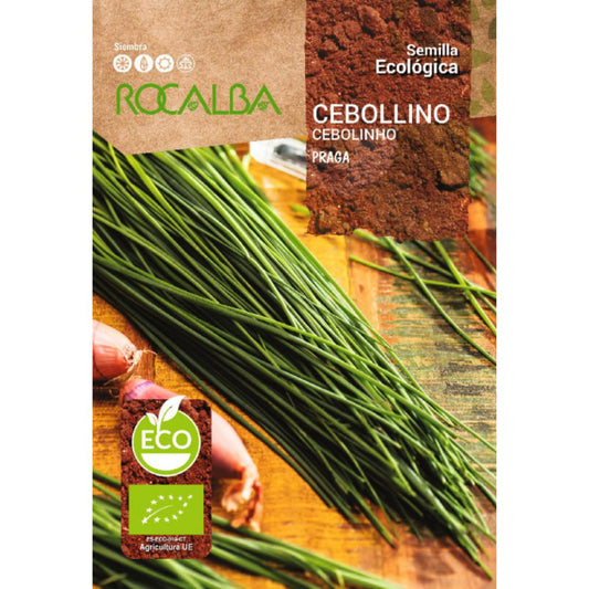 Semillas de cebollino Praga ecológicas Rocalba
