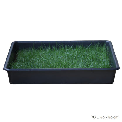 Petground, Arenero Para Gatos, Cama De Césped Natural, Hierba Gatera, Alfombra Olfativa Xxl Xxl: 80 X 80 Cm_1