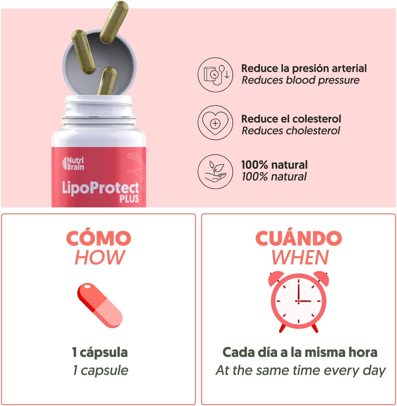 Lipoprotect Plus Con Monacolina K Para Colesterol Nutribrain 60 Cápsulas_4