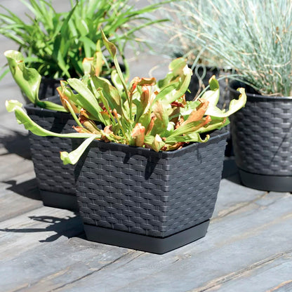 Maceta Ratolla Square 1,5l., Dimensiones (mm) 145x145x126, Color Ocre Oscuro