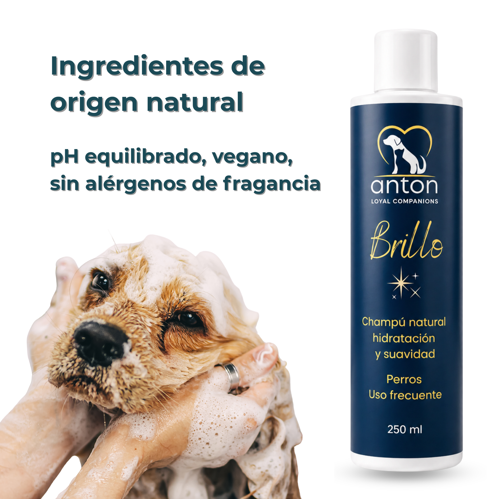 Champú natural para el cuidado del pelaje de perros – 250 ml_4