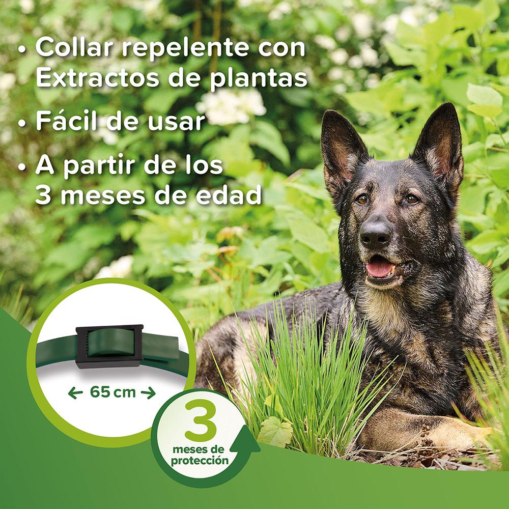 Collar repelente Bio Band para perros Beaphar 65 cm