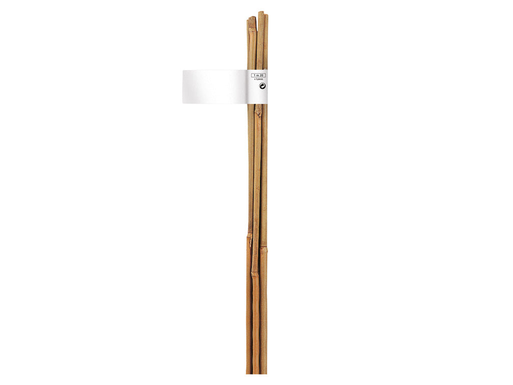 Tutor De Bambu 10-12 Mm 1,2 M Nortene_0