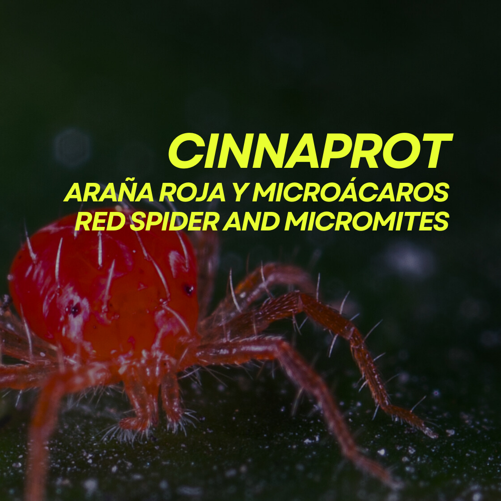 Tratamiento ecológico contra araña roja en plantas Cinnaprot Plus Prot-Eco (100 ml)+pipeta dosificadora 5ml gratis_2