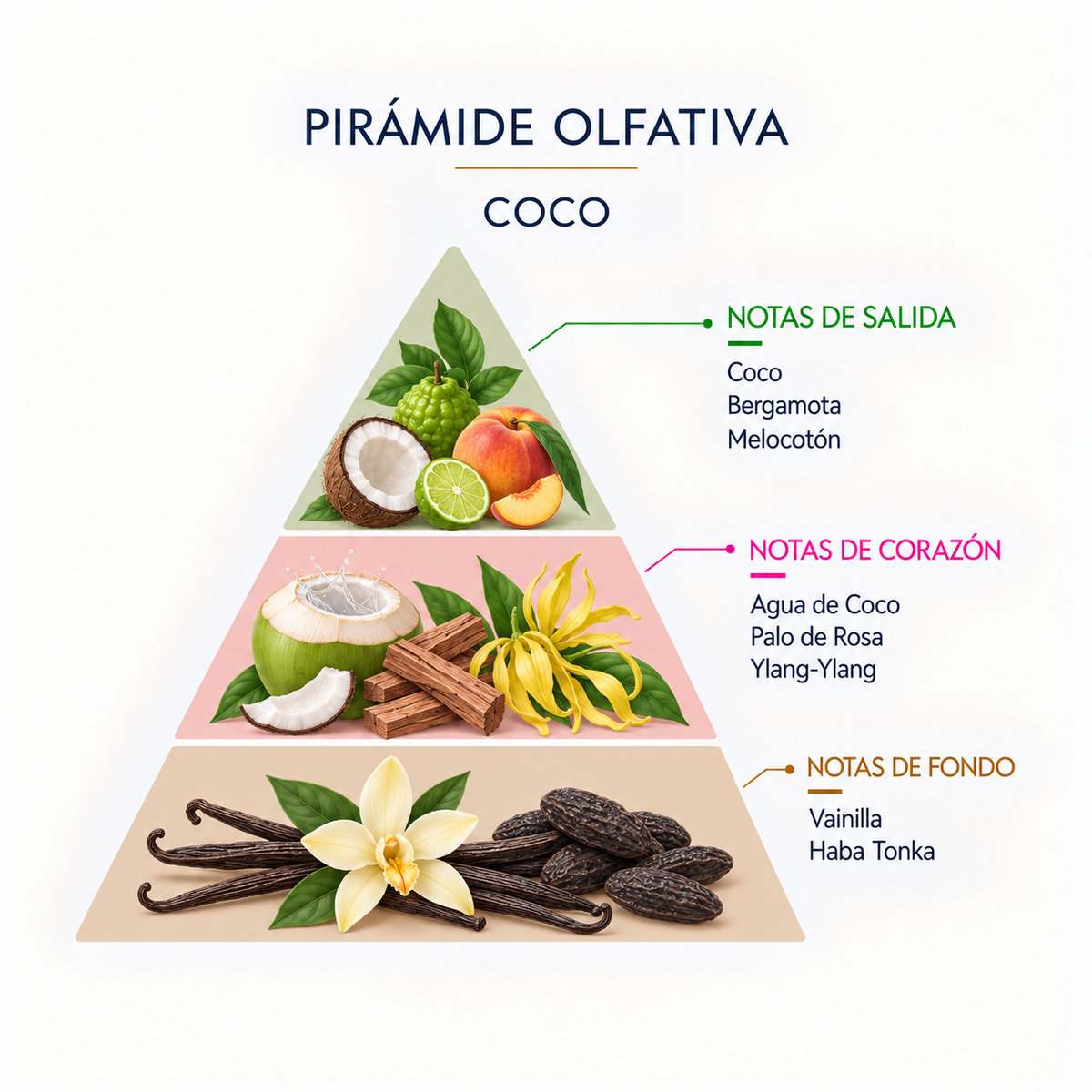 Esencia Natural Coco SYS Aromas 12 ml | Aroma Dulce y Afrutado | Para Quemadores y Humidificadores_3