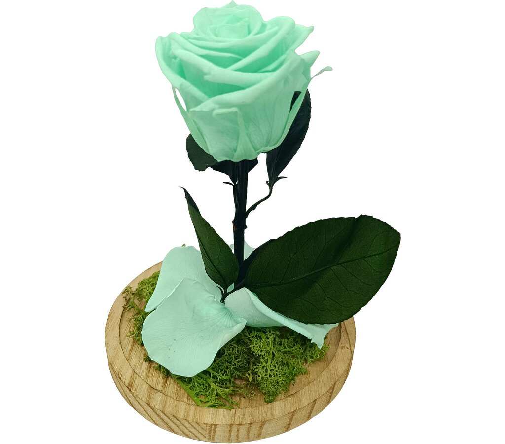 Mundo Eterno Rosa En Cúpula Verde Menta 12x20cm_0