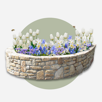 Jardín De Bulbos Nj Azul - 250 Pzs - Bulbos De Flores - Azul