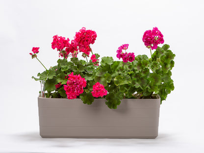 Jardineras Con Autorriego Berberis 60 Antracita/verde.