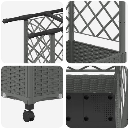 Cama Elevada Con Trellis Y Techo Gris Claro 164 X 40 X 127 Cm_5