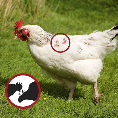 GranuPluma (1Kg) - Apoyo nutricional para la época de muda de las aves - Favorece el Emplumamiento - Formato granulado_2