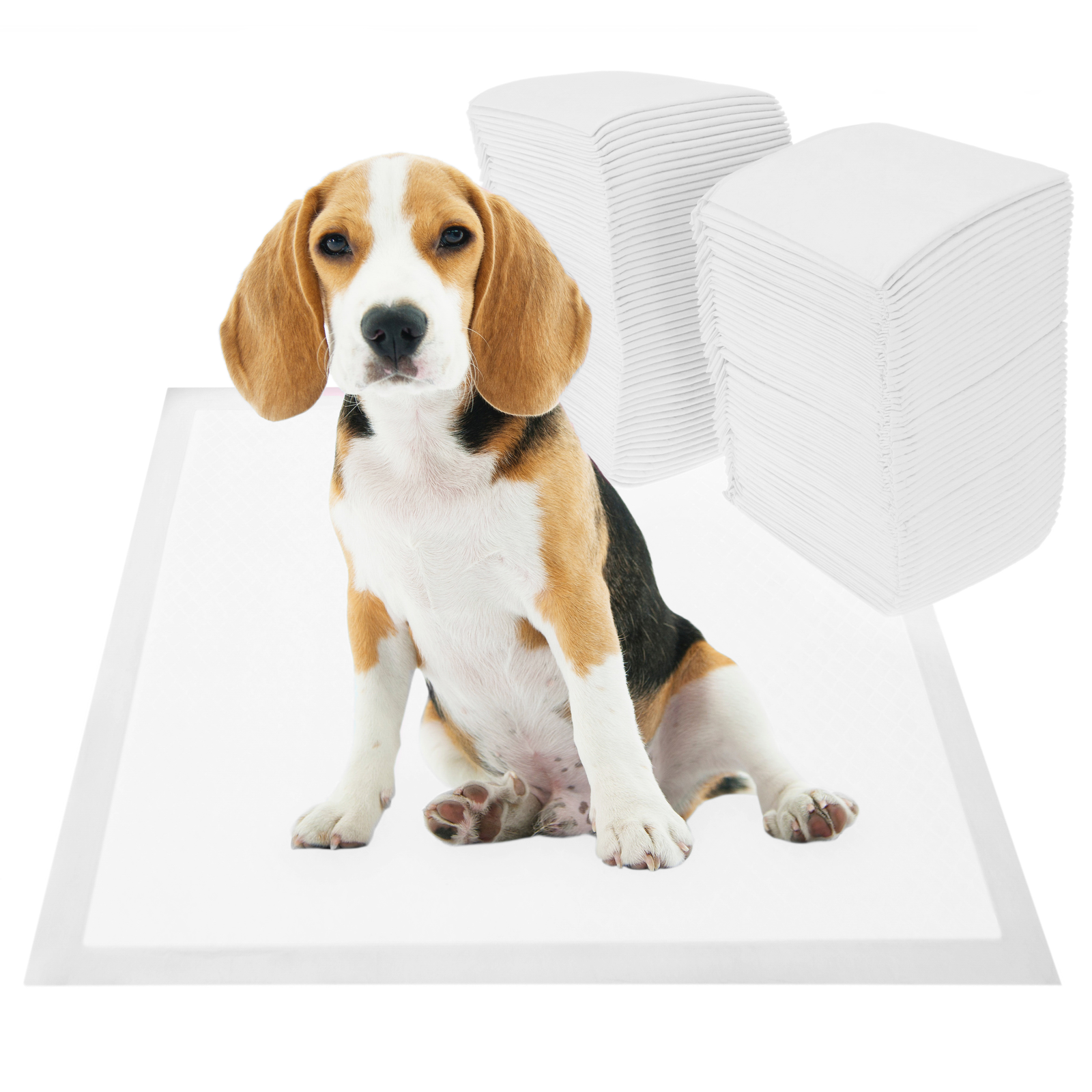 Toallas De Entrenamiento Para Perros 40 Unidades 60 X 60 Cm Color Blanco_2