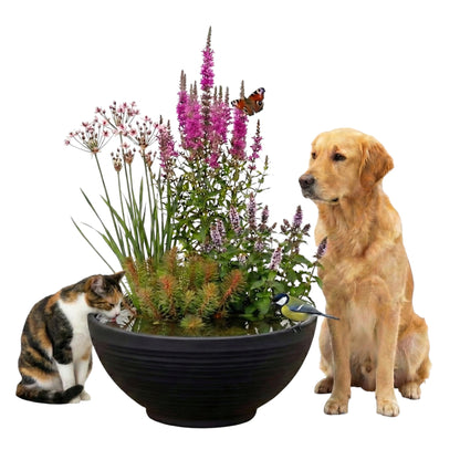 Pet Pond - 1 Bandeja Y 14 Plantas - Bebedero Para Perro Gato Aves_0