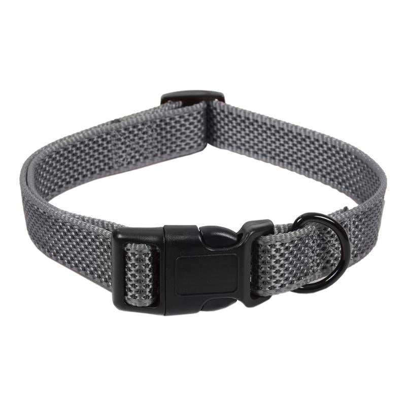 Collar Para Perros Gris 2.5x45-70 Cm_0