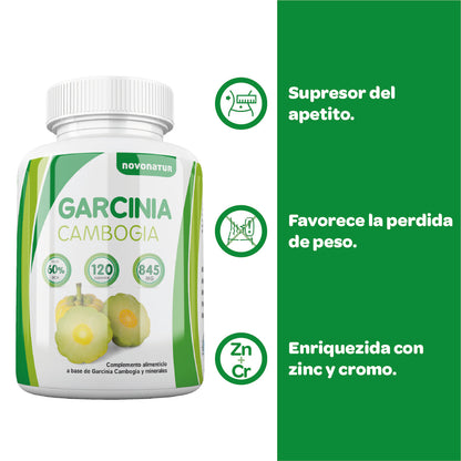 Garcinia Cambogia_4