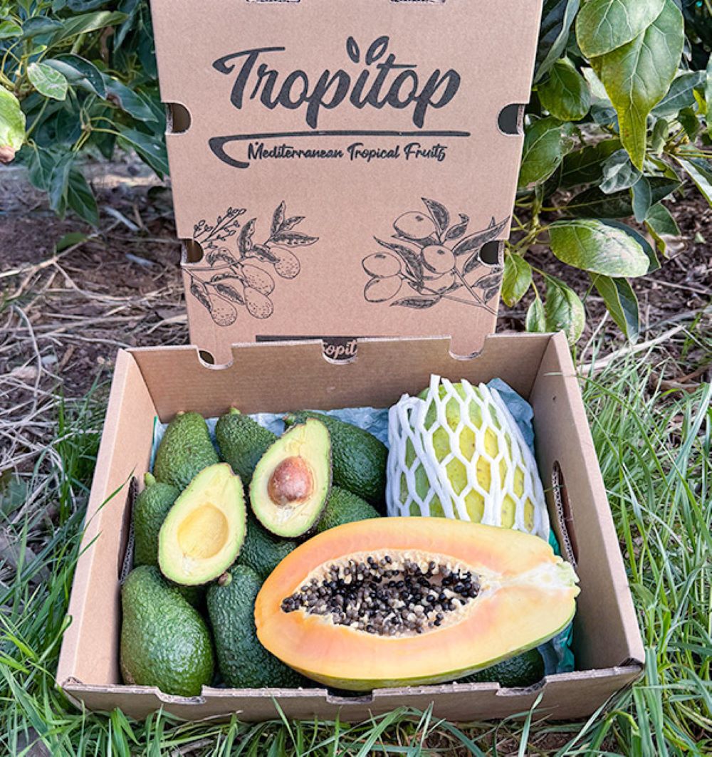 Caja 4kg Mix Aguacate Hass Y Papaya Tropitop_1
