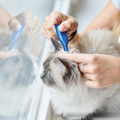 Calming Spot On  Pipetas calmantes para gatos Beaphar 3x0,4 ml