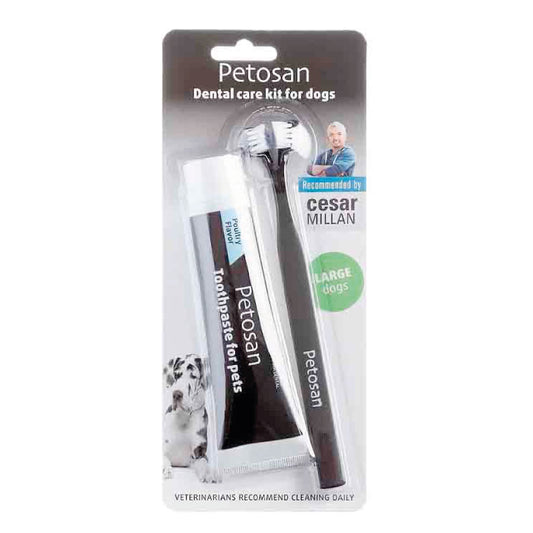 Petosan Kit Dental Gde + 16 Kg