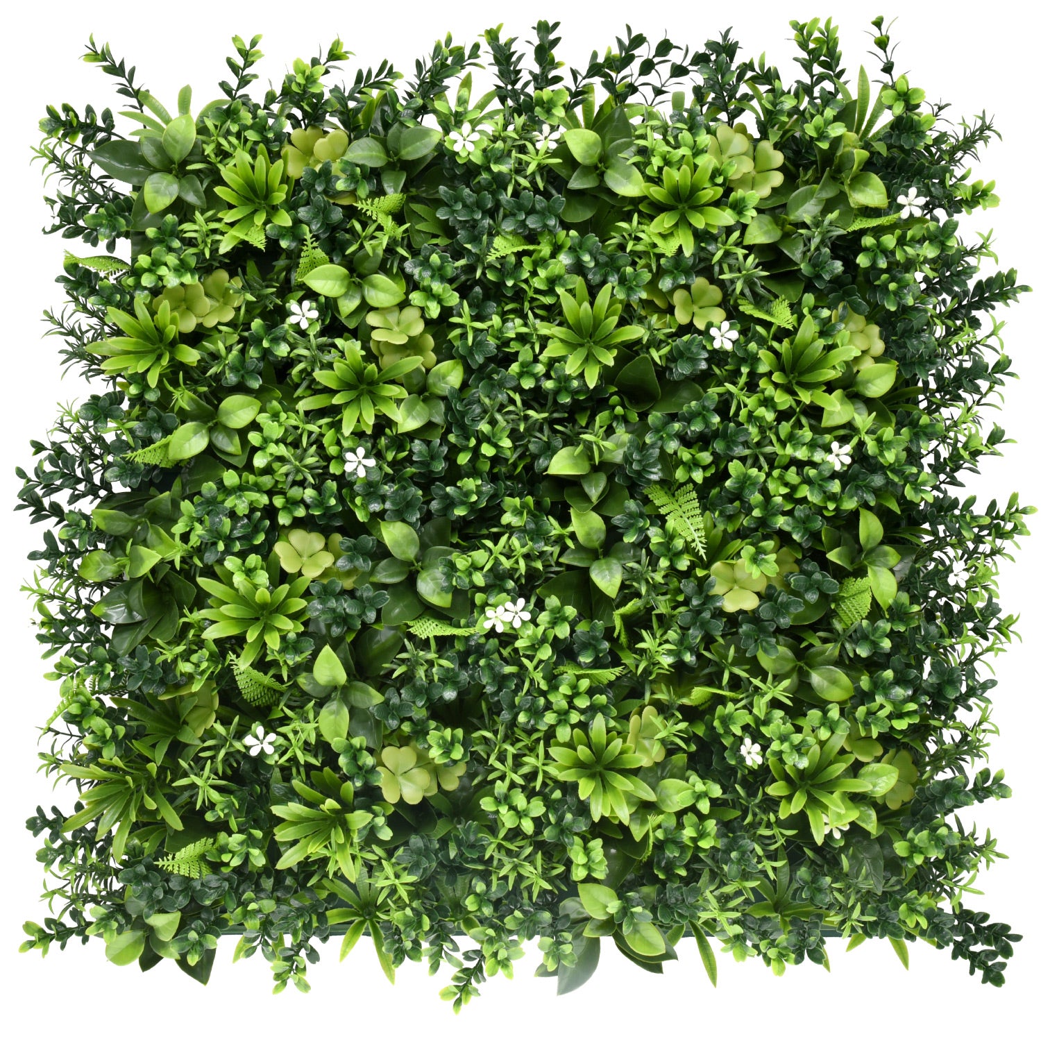 Bonerva | Jardín Vertical México | Pack 4 Piezas 50x50cm_0