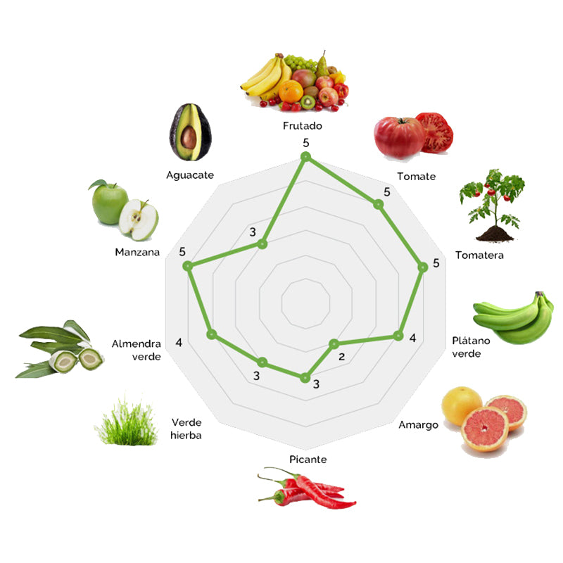 Cortijo La Muralla | Aceite De Oliva Virgen Extra |  Variedad Arbequina |  Botella 2 L (caja De 2)_3