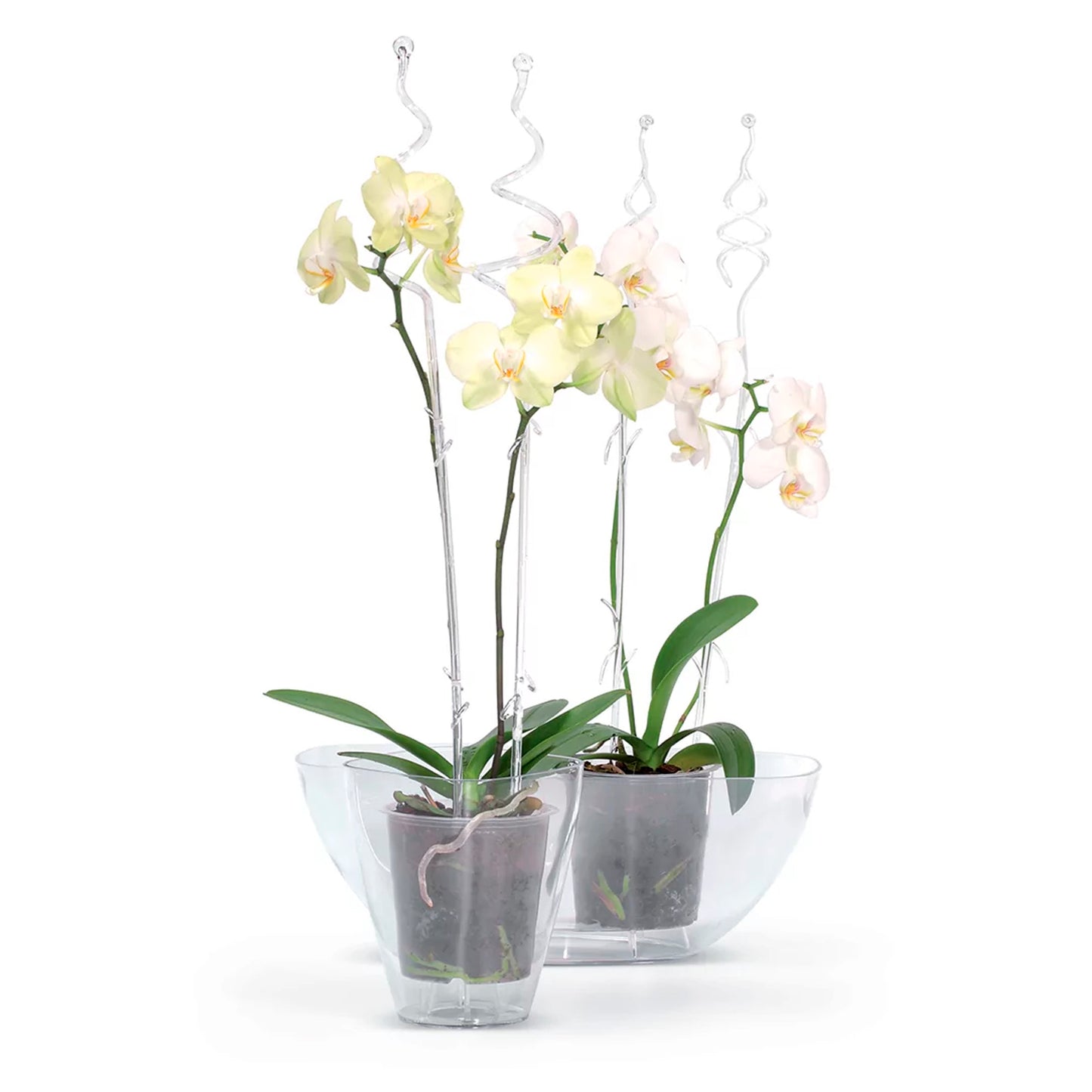 Maceta Coubi Orchid 3,8l., Dimensiones (mm) 360x150x132, Color Transparente
