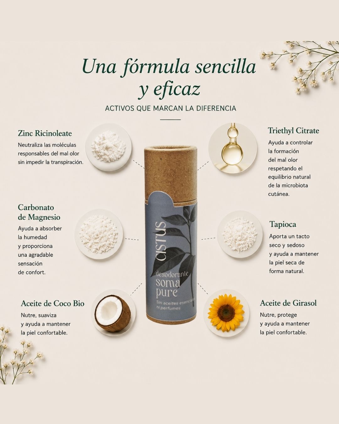 Desodorante sólido natural sin aluminio y sin perfume para piel sensible | SOMA PURE Viaje 10 ml_2