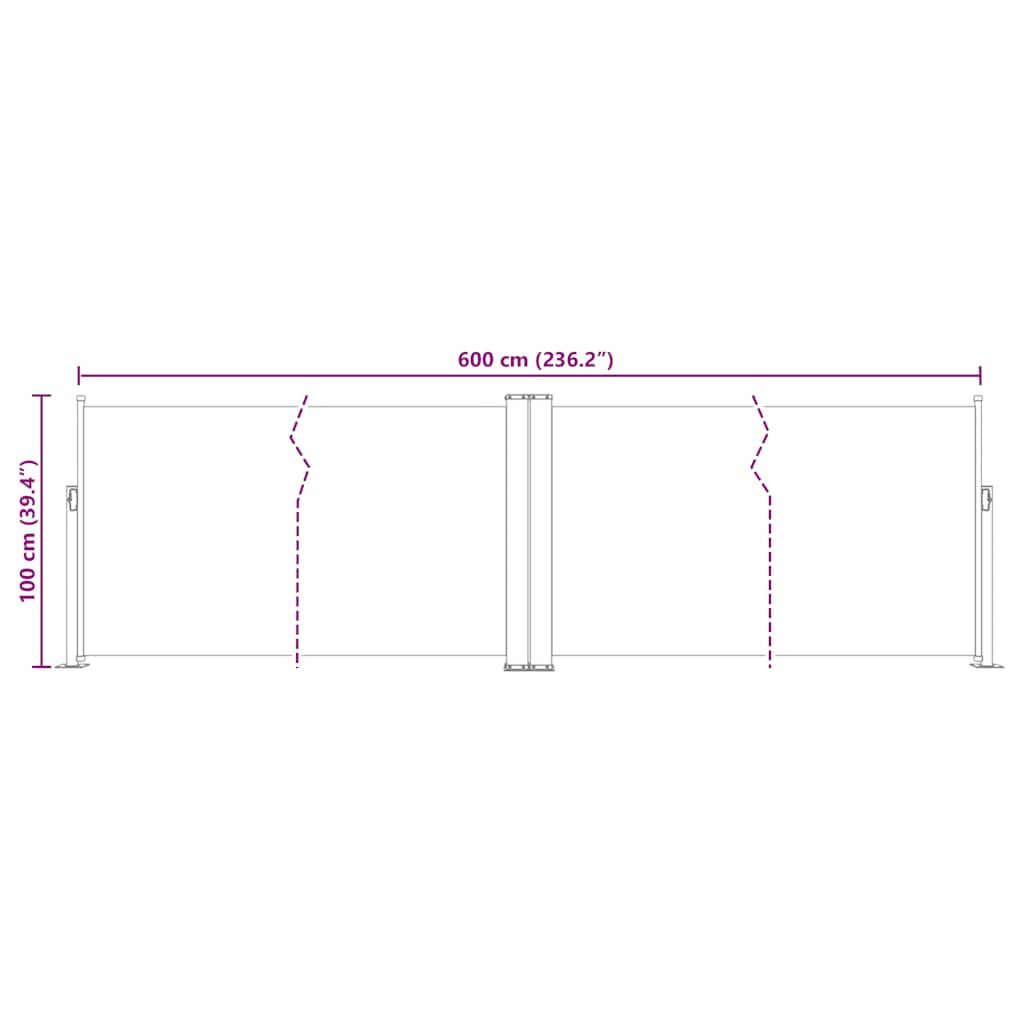 Vidaxl Toldo Lateral Retráctil Azul 100x600 Cm_2