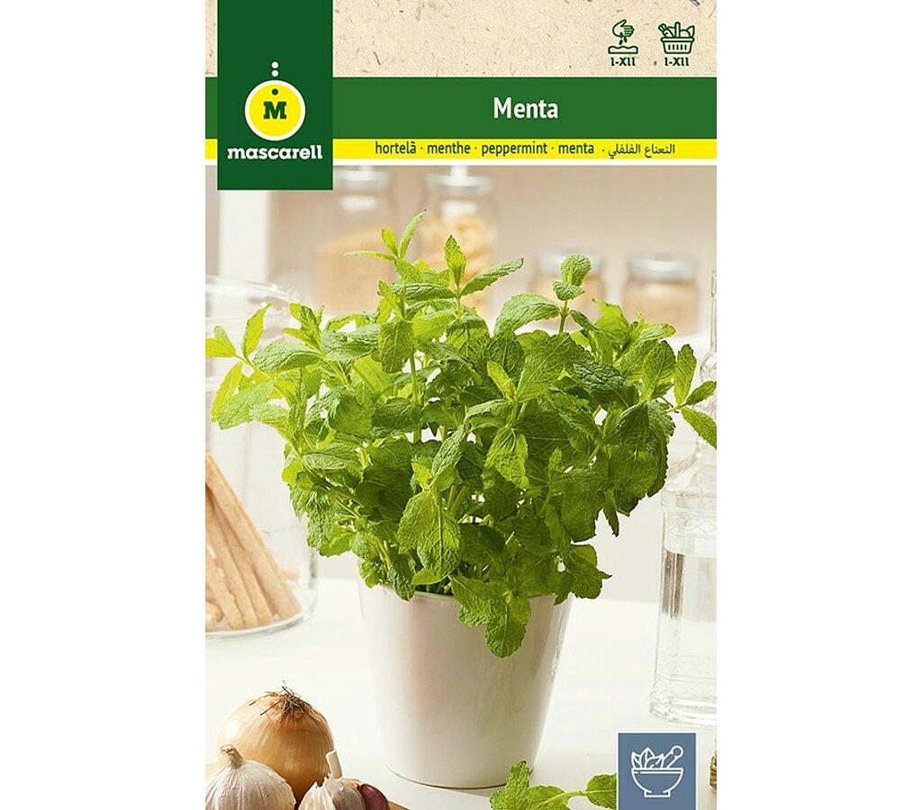 Semillas Menta_0