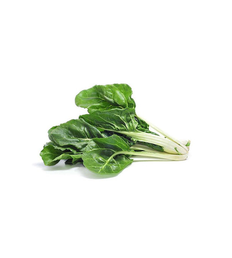 Acelga Verde De Conil. 1 KG_0