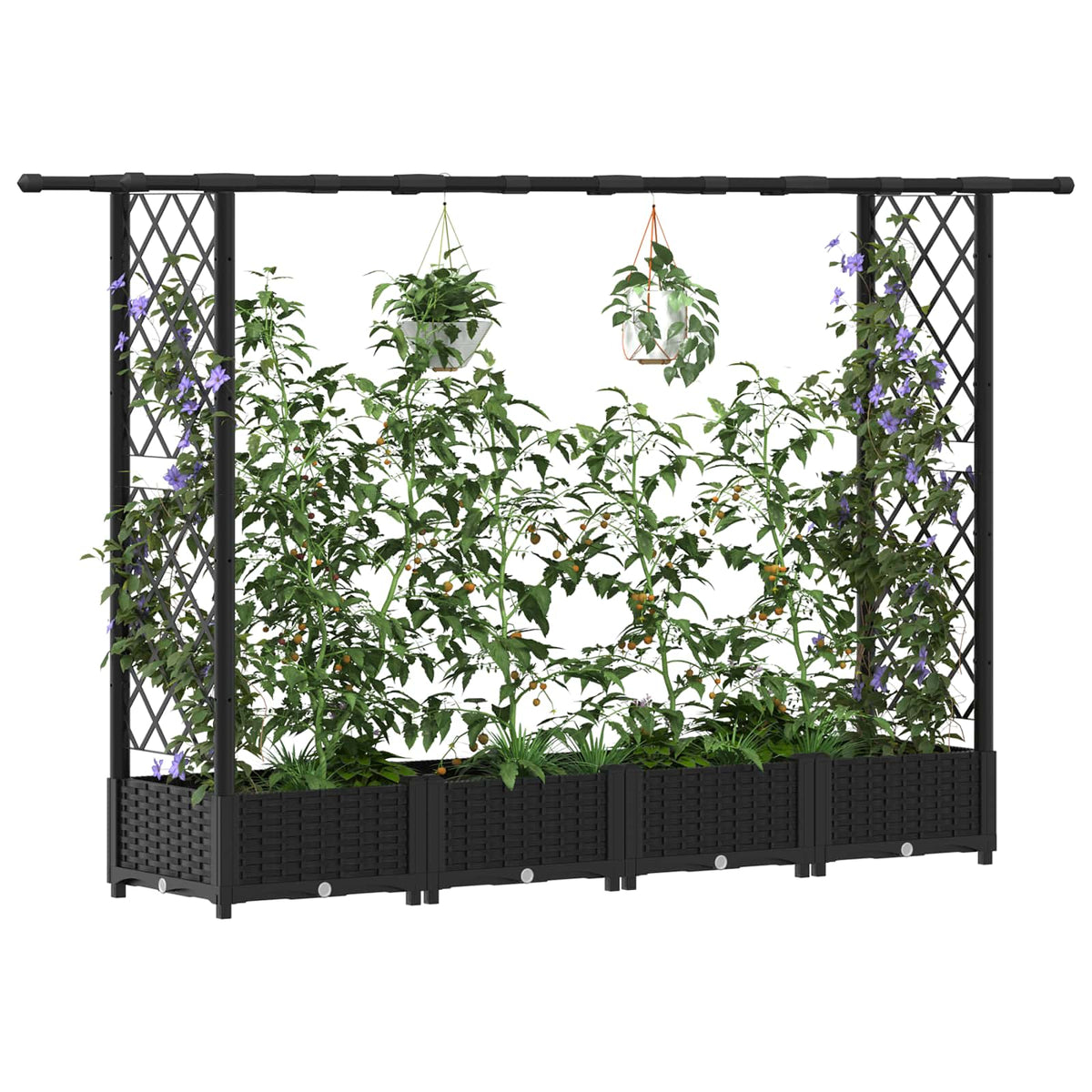 Cama Elevada Con Trellis Y Techo Negro 203 X 40 X 121 Cm Pp_2