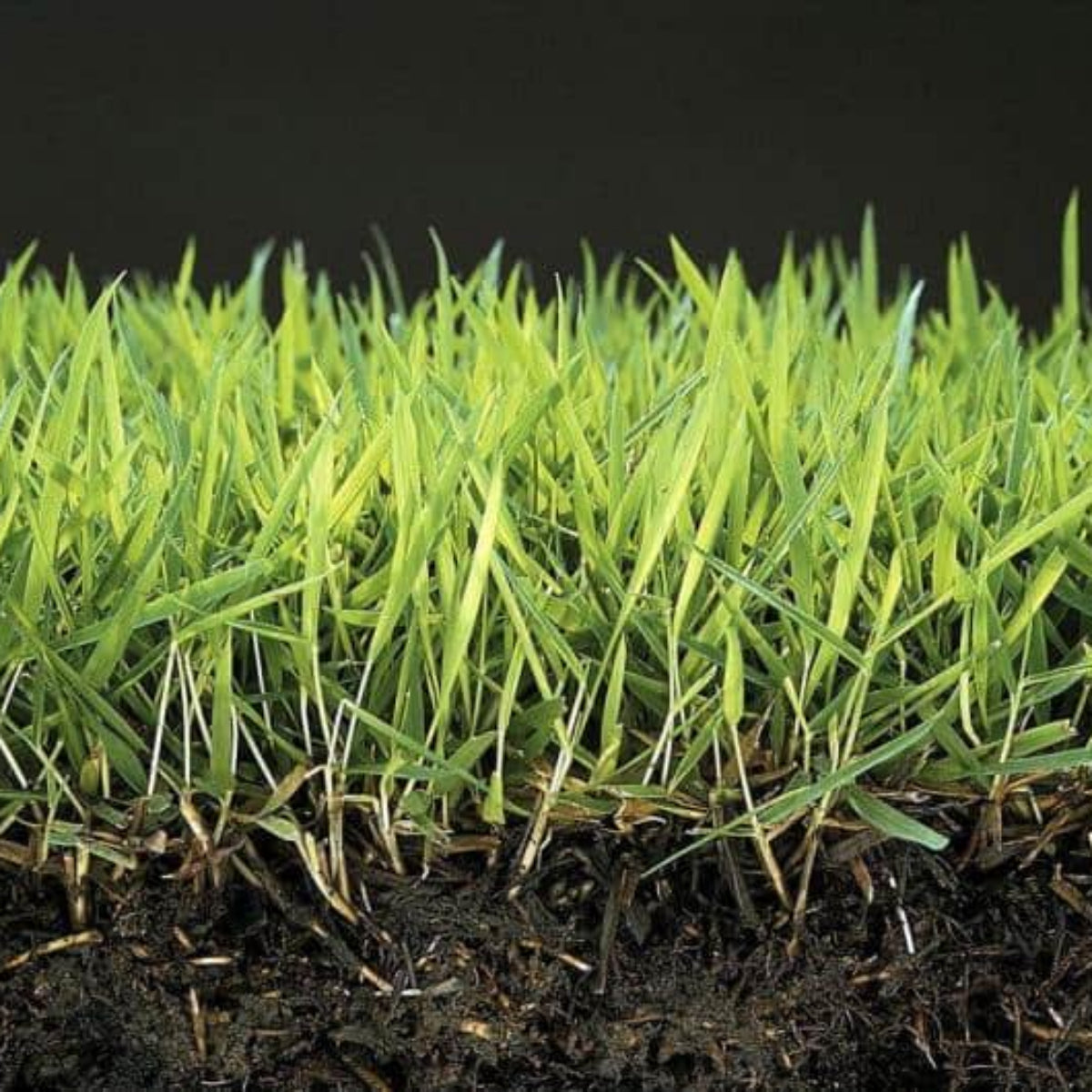 Anti Musgo Y Reverdecedor De Césped Natural Mineravi Cubo 3 Kg. (100 M2) / Granulado_3