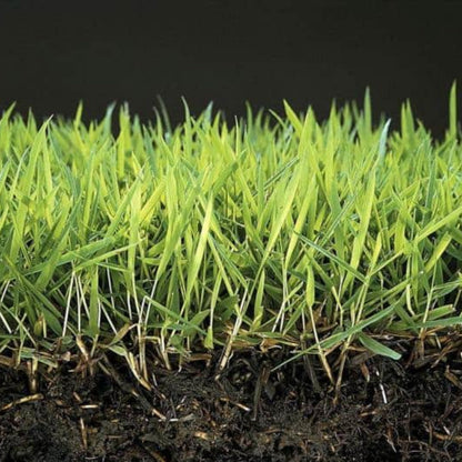 Anti Musgo Y Reverdecedor De Césped Natural Mineravi Cubo 3 Kg. (100 M2) / Granulado_3